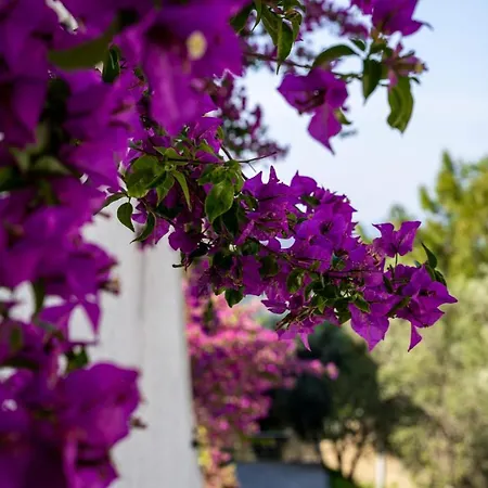 Only Blue Skopea Göcek